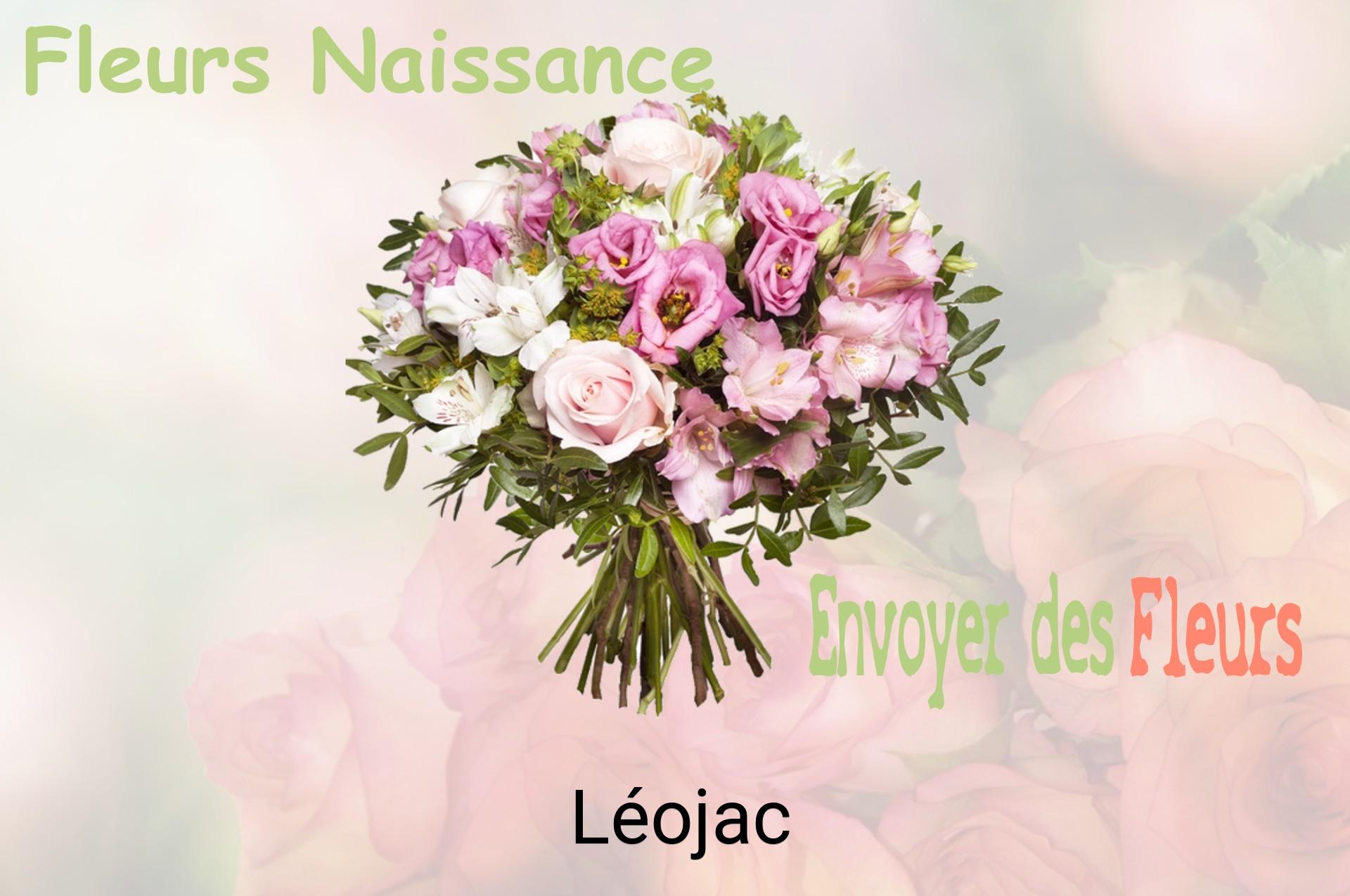 Bouquet de fleurs de naissance livré à Léojac