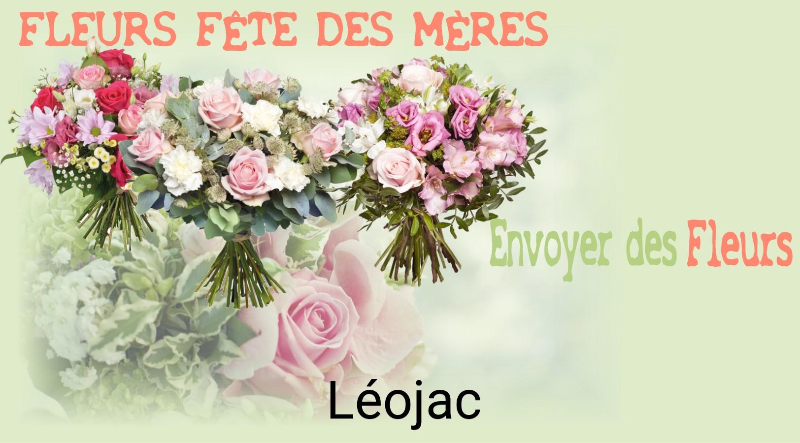 Bouquet de Fête des Mères livré à Léojac